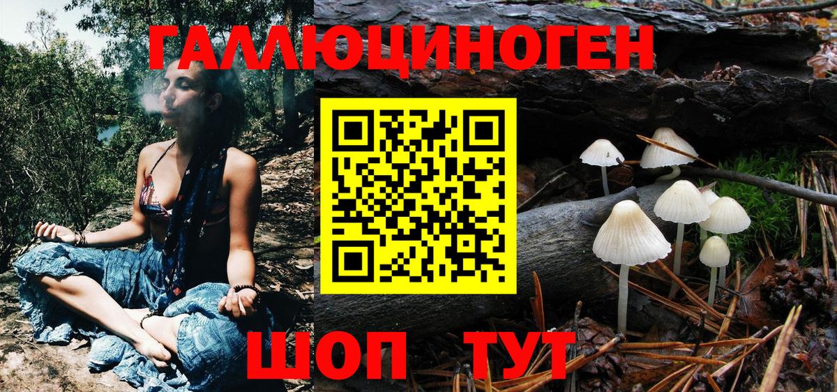 Гагарин  Псилоцибиновые грибы Magic Shrooms  где купить наркотик  Псилоцибиновые грибы мицелий  Вход с VPN 
