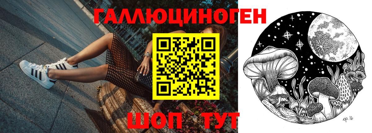 Псилоцибиновые грибы Psilocybe Гагарин